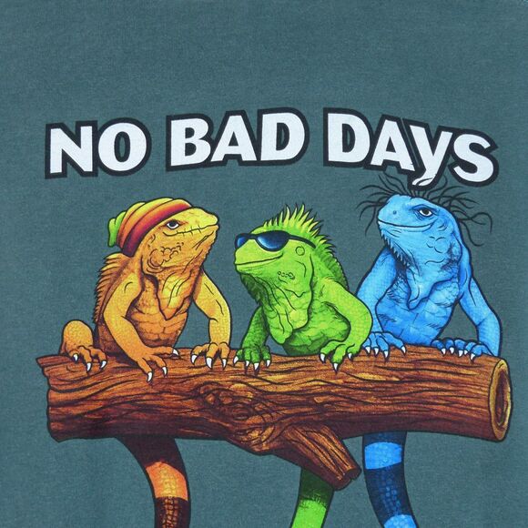 Cabo San Lucas Mexico T Shirt Mens L Green No Bad Days Lizard Graphic Jerzees - Picture 8 of 13